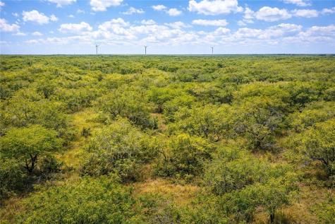 Tbd Zinnia Road Other TX 78580