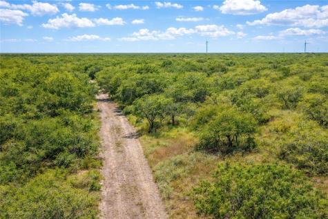 Tbd Zinnia Road Other TX 78580