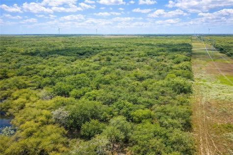 Tbd Zinnia Road Other TX 78580