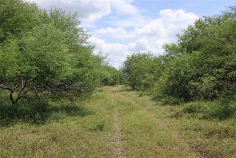 Tbd Zinnia Road Other TX 78580