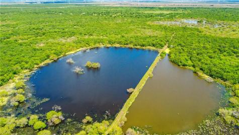 Tbd Zinnia Road Other TX 78580