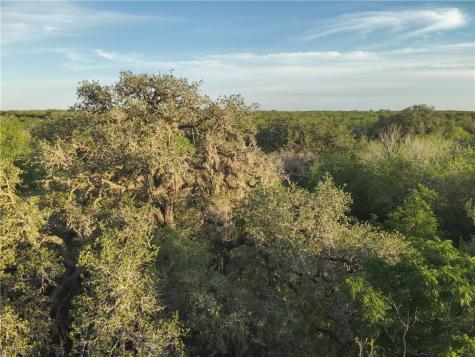 1305 Fm 799 George West TX 78022