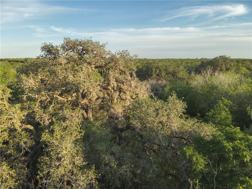 1305 Fm 799 George West TX 78022