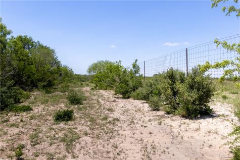 1305 Fm 799 George West TX 78022