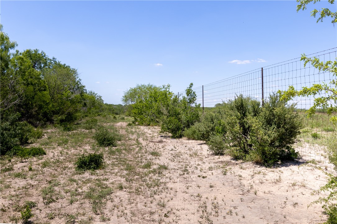 1305 Fm 799 George West TX 78022