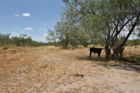 2325 E Highway 285 Falfurrias TX 78355