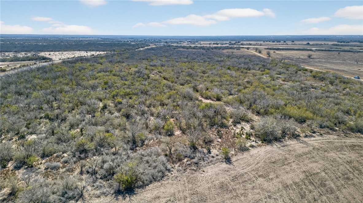 00 Fm 799 George West TX 78022