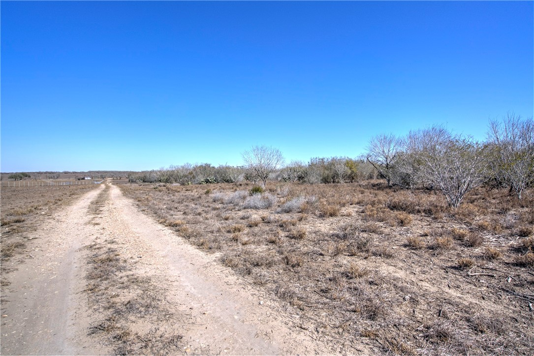 00 Fm 799 George West TX 78022