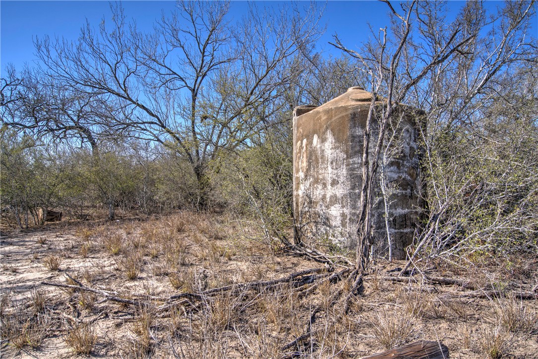00 Fm 799 George West TX 78022