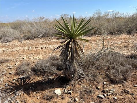 0 County Road 101 San Diego TX 78384