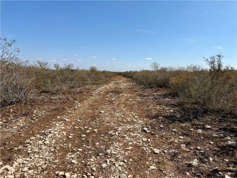 0 County Road 101 San Diego TX 78384
