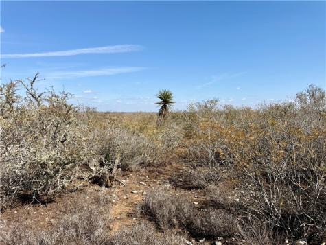 0 County Road 101 San Diego TX 78384