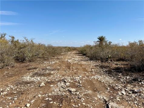 0 County Road 101 San Diego TX 78384