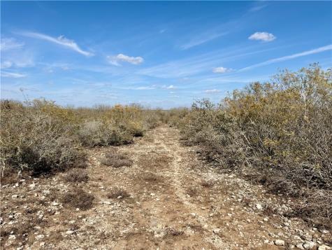 0 County Road 101 San Diego TX 78384