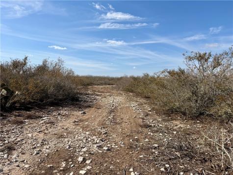 0 County Road 101 San Diego TX 78384