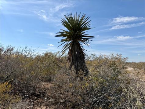0 County Road 101 San Diego TX 78384