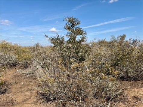 0 County Road 101 San Diego TX 78384