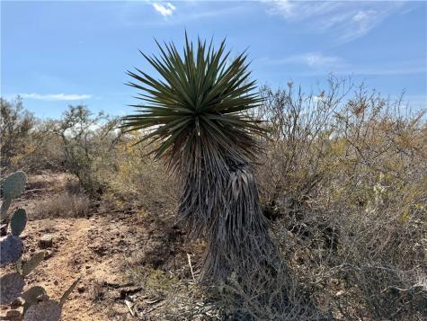 0 County Road 101 San Diego TX 78384