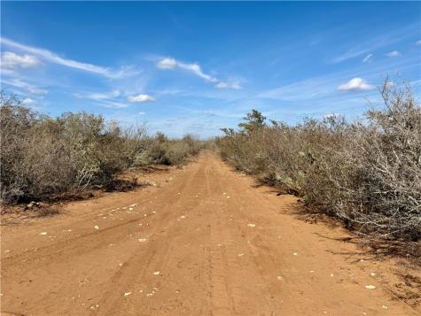 0 County Road 101 San Diego TX 78384
