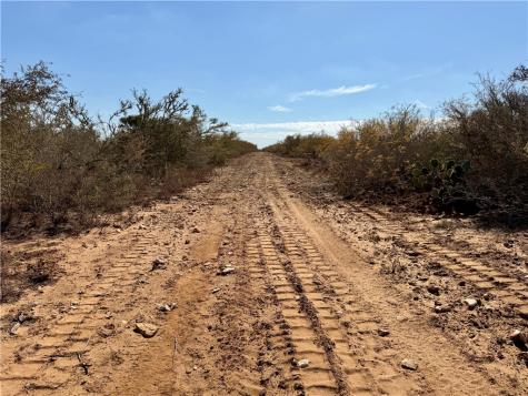 0 County Road 101 San Diego TX 78384