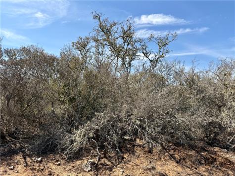 0 County Road 101 San Diego TX 78384