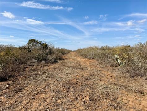 0 County Road 101 San Diego TX 78384