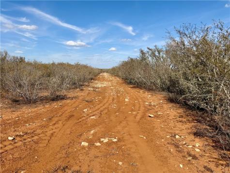 0 County Road 101 San Diego TX 78384