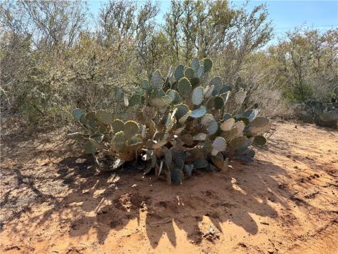 0 County Road 101 San Diego TX 78384