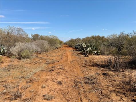 0 County Road 101 San Diego TX 78384