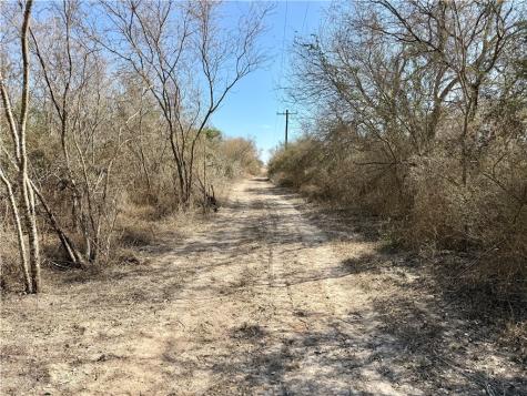 0 County Road 101 San Diego TX 78384