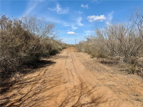 0 County Road 101 San Diego TX 78384