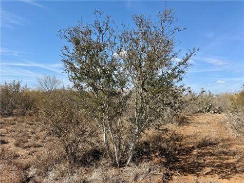0 County Road 101 San Diego TX 78384