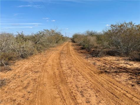 0 County Road 101 San Diego TX 78384