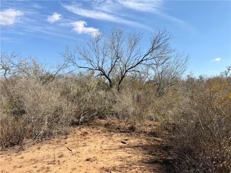 0 County Road 101 San Diego TX 78384