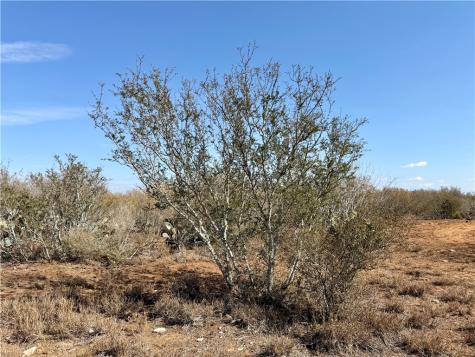 0 County Road 101 San Diego TX 78384