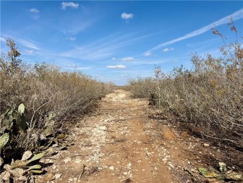 0 County Road 101 San Diego TX 78384