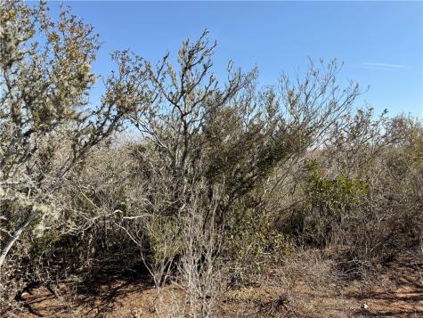 0 County Road 101 San Diego TX 78384