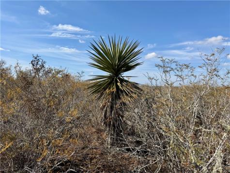 0 County Road 101 San Diego TX 78384