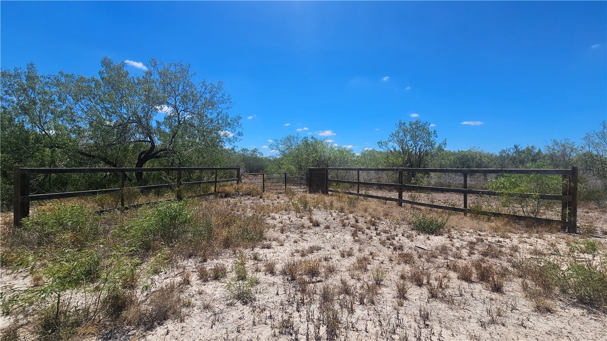 0 Tract 59 Benavides TX 78341