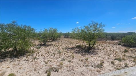 0 Tract 59 Benavides TX 78341