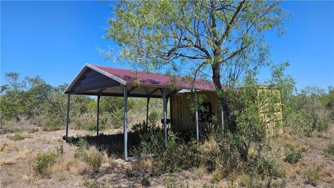 0 Tract 59 Benavides TX 78341