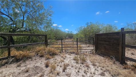0 Tract 59 Benavides TX 78341