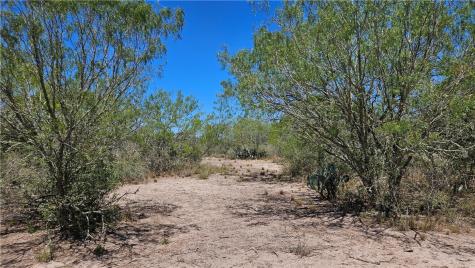 0 Tract 59 Benavides TX 78341