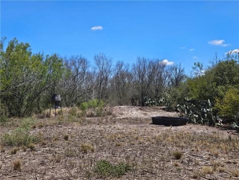 0 Tract 59 Benavides TX 78341