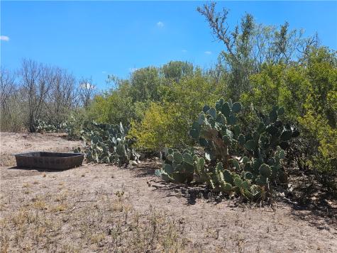 0 Tract 59 Benavides TX 78341