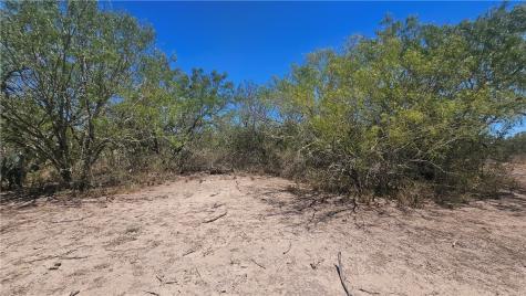 0 Tract 59 Benavides TX 78341