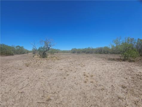 0 Tract 59 Benavides TX 78341