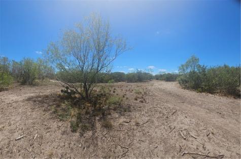 0 Tract 59 Benavides TX 78341