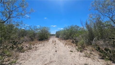 0 Tract 59 Benavides TX 78341