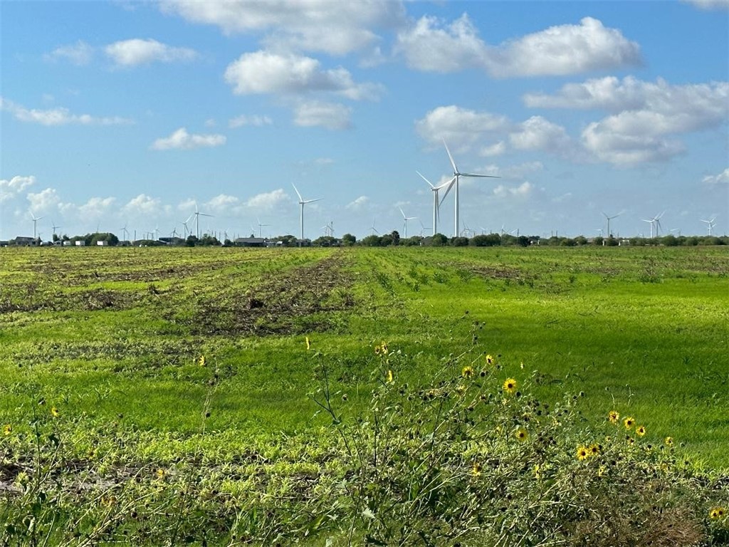 0000 County Road 1064 Taft TX 78390